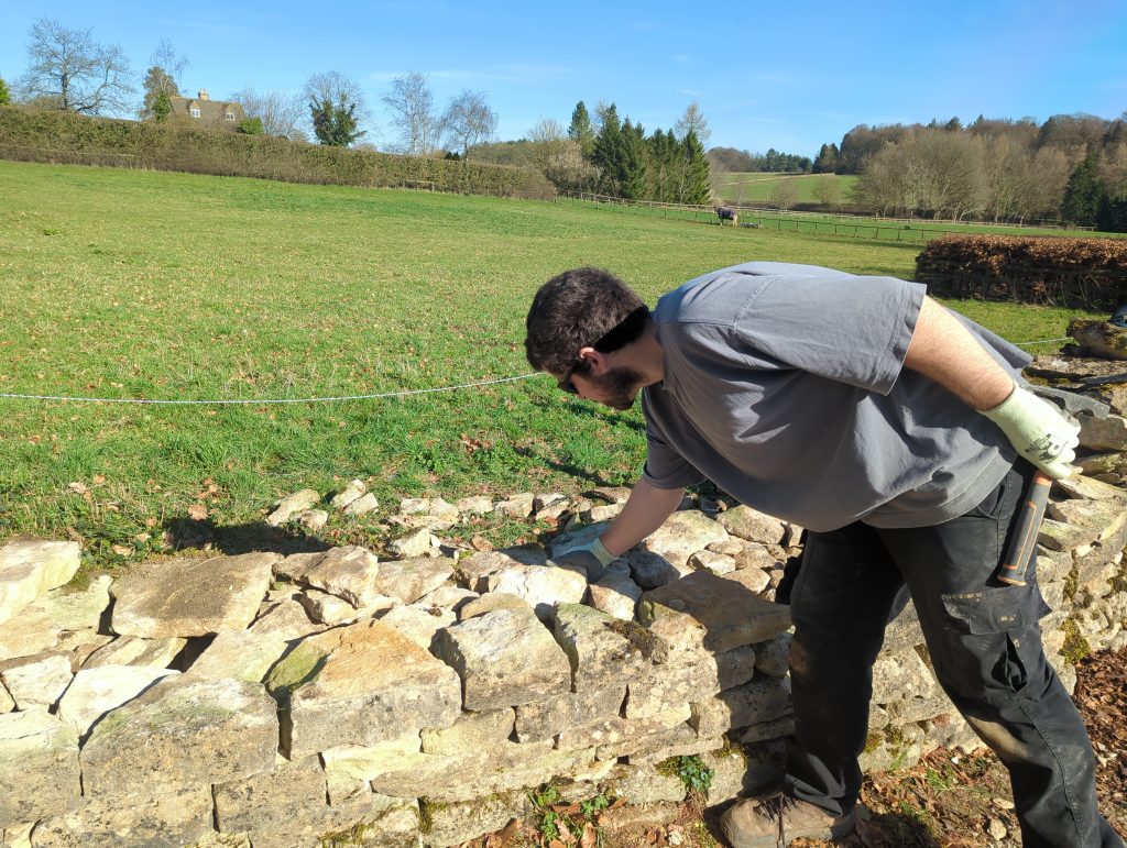 Rebuild and repair of a field wall in Tetbury, Cotswolds, Gloucestershire