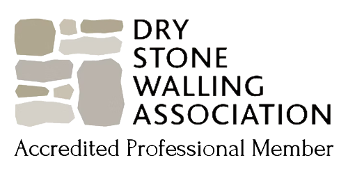 dswa accredited professional member logo