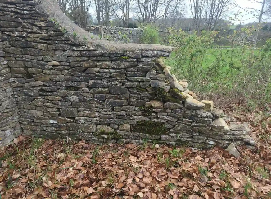 Dry stone wall remodelling before construction of a lime mortared wall head in Sherston near Tetbury.