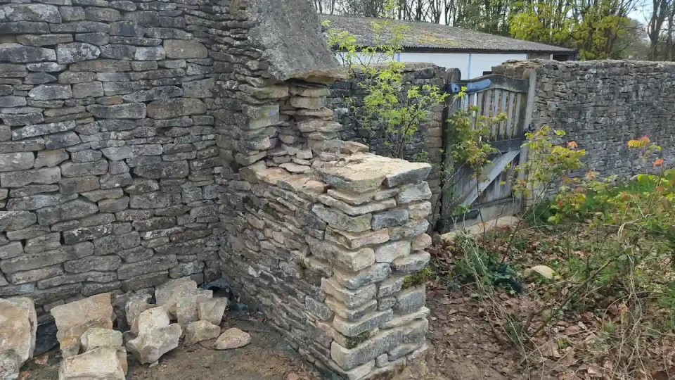 Dry stone wall builder completing shortening of a dry stone wall with a lime mortared wall head in Sherston near Tetbury.